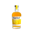 Mynd Everleaf Forest